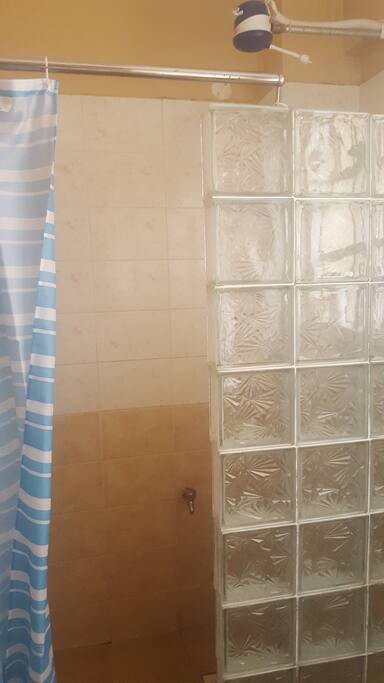 Instant heater shower