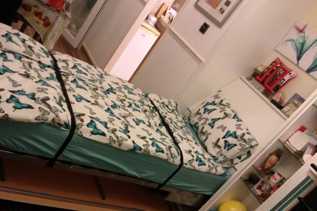 THE BED IN THE DOWN