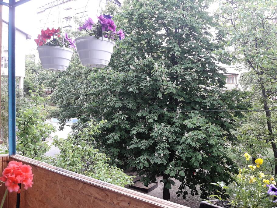Balcony view