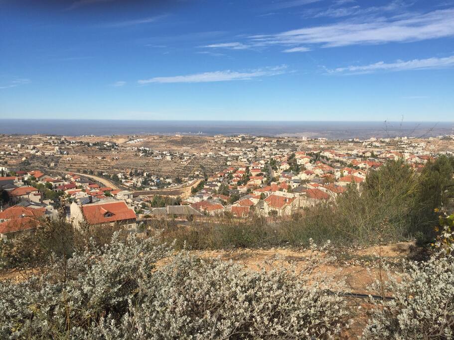 In the Judean hills surrounding Jerusalem