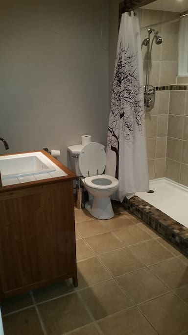 Private Bathroom and Shower