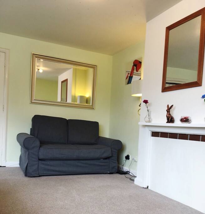 Living room - comfortable sofa bed