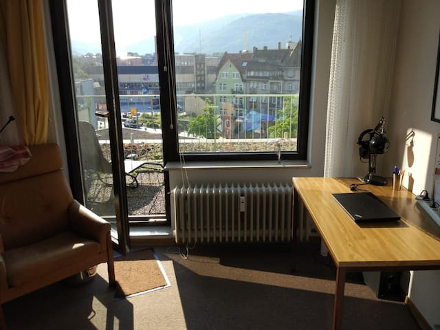 Heidelberg Germany Vacation Rentals Airbnb