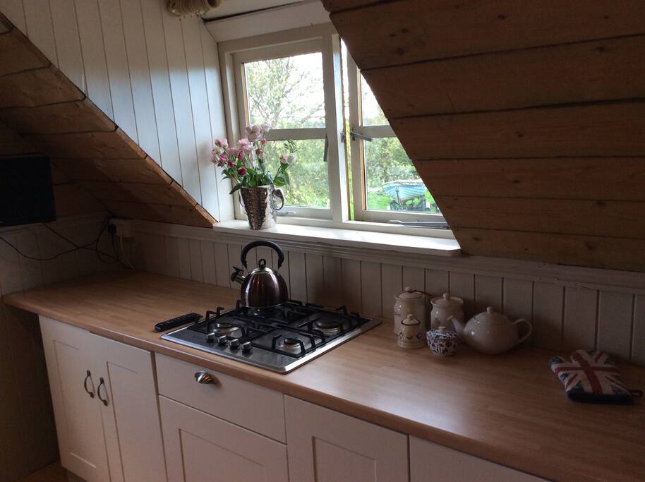 Kitchen area with fridge and hob