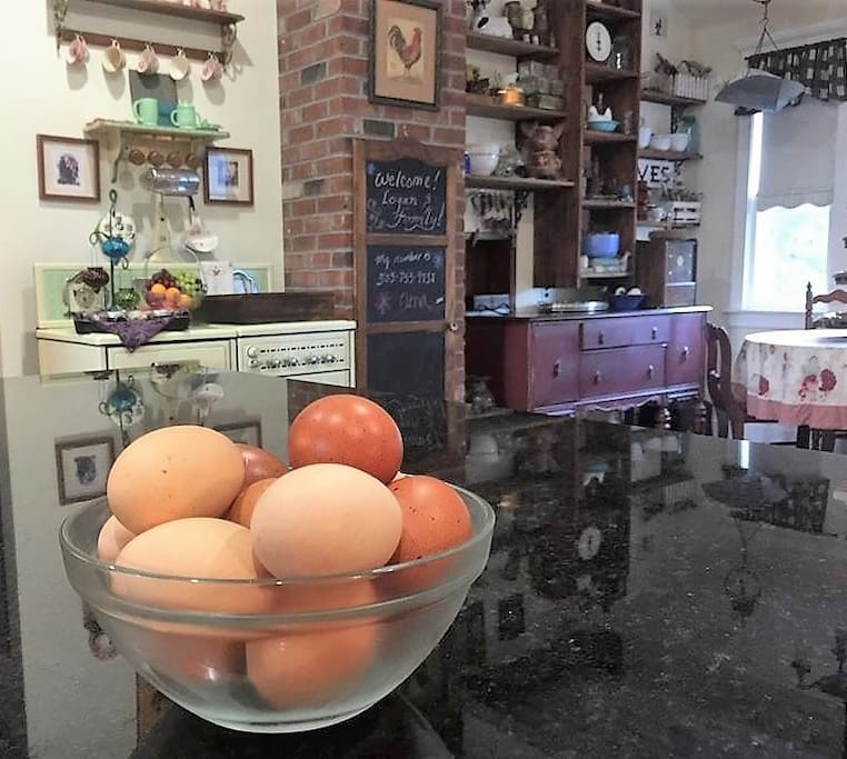 Help yourself to eggs!