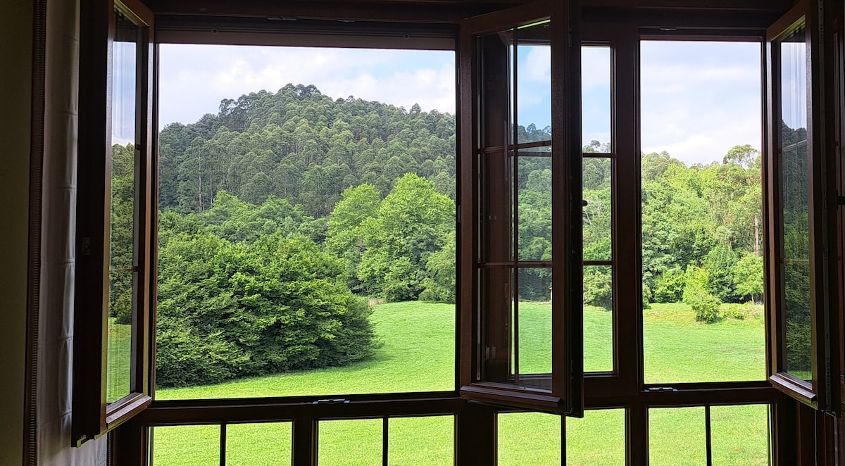 Four large windows open to reveal a scenic view of verdant trees and a grassy expanse. The natural light floods the space, enhancing the feeling of openness and connection to the surrounding landscape.