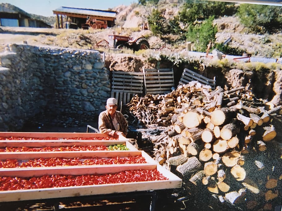 Red Chile sun drying