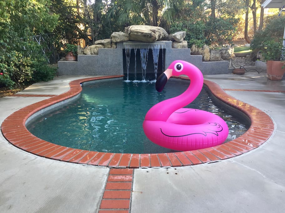 Cool off in pool. Maximum depth of 5 feet. Seating area in the grotto under the waterfall.