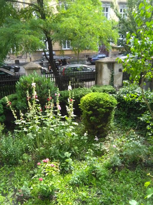 Le jardin côté rue