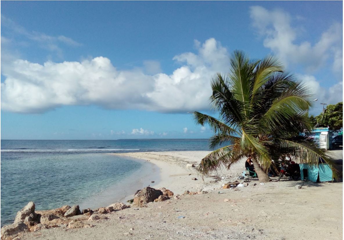 A tranquil beach scene is depicted, featuring a sandy shoreline that curves along clear blue waters. A tall palm tree leans gently towards the ocean, providing shade. Light clouds float in the bright sky, enhancing the serene atmosphere.