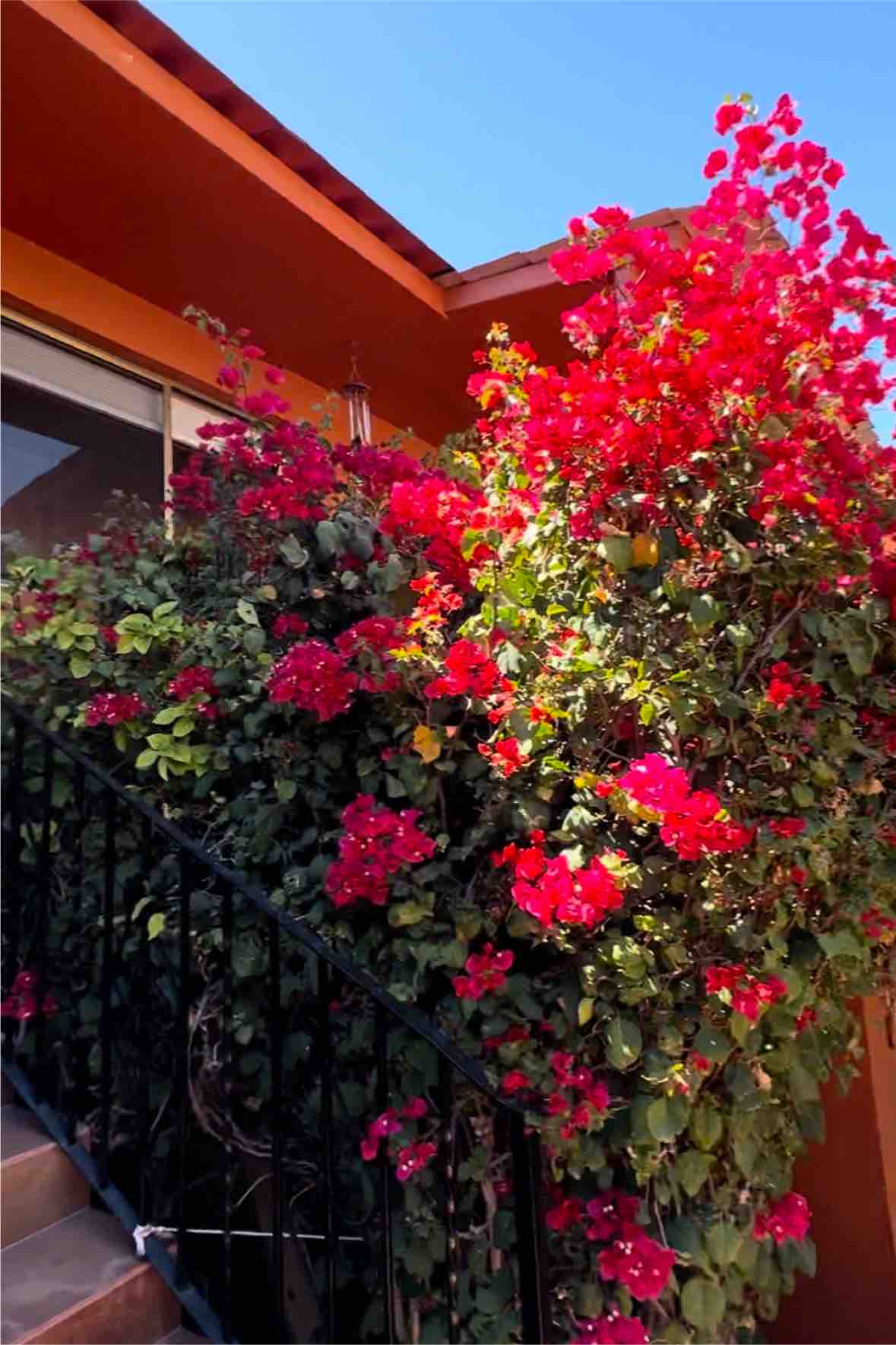 Unit B Oceanview Condo