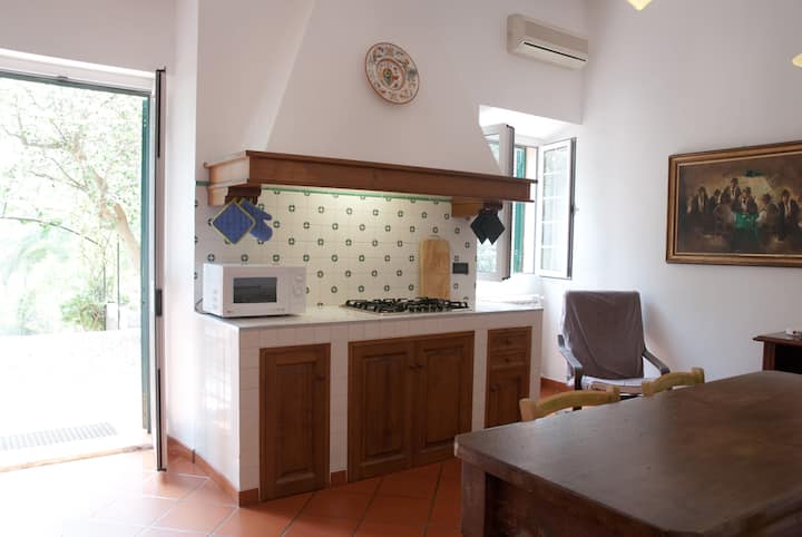 Holidays In Old Tuscan Villa - Elba