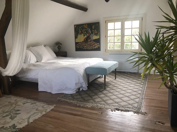 סוויטת הורים