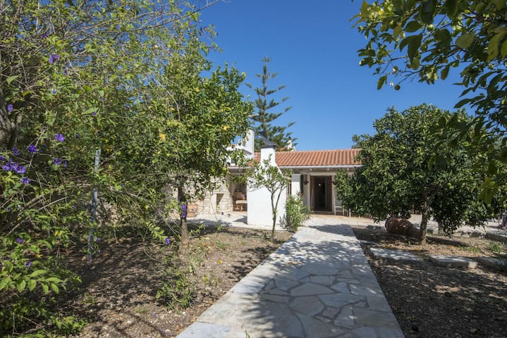 Vacation Rentals Homes Experiences Places Airbnb