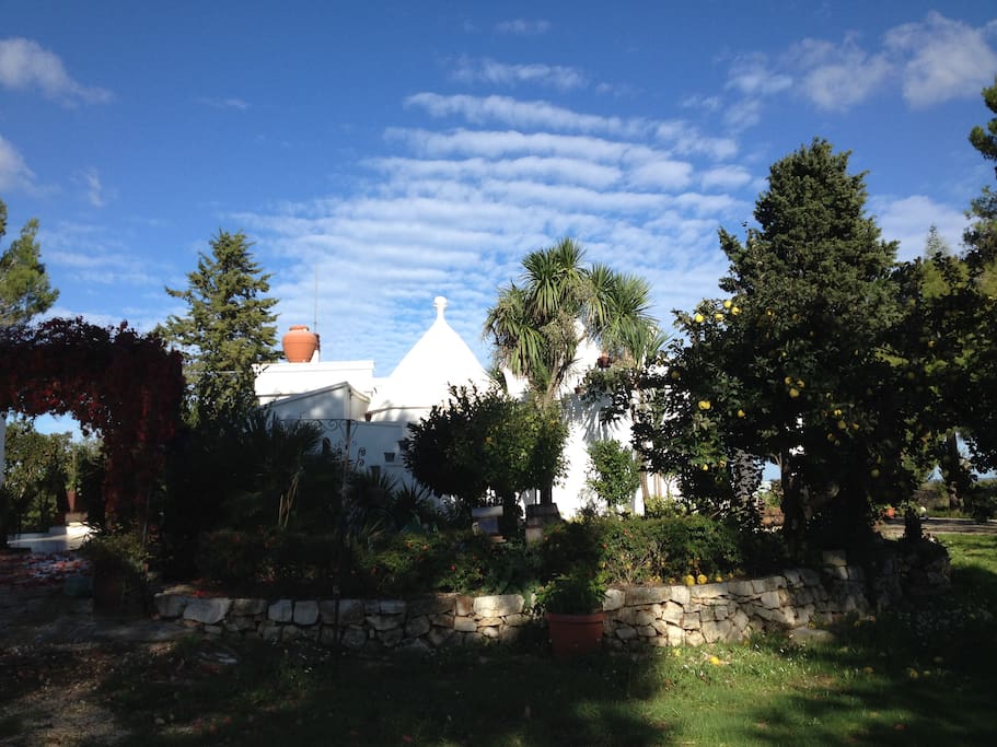 Trulli e alberi da frutto