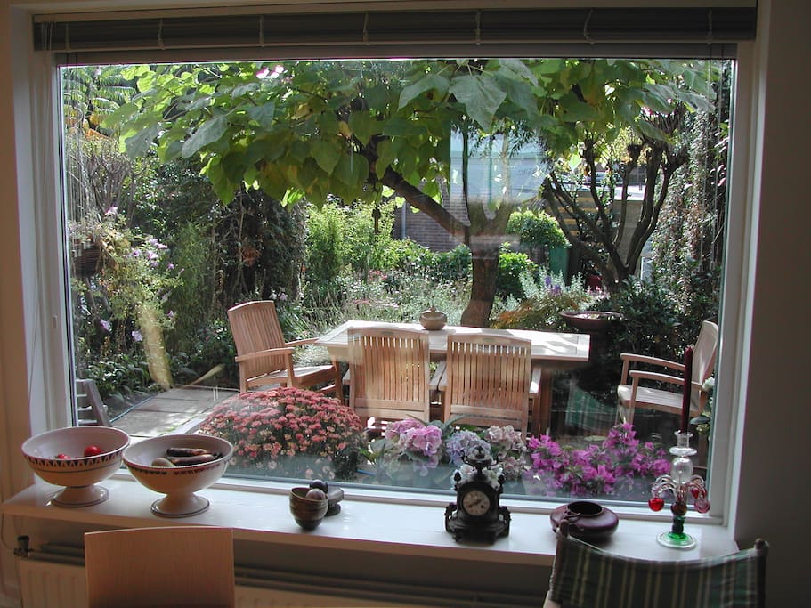 Uitzicht op de tuin