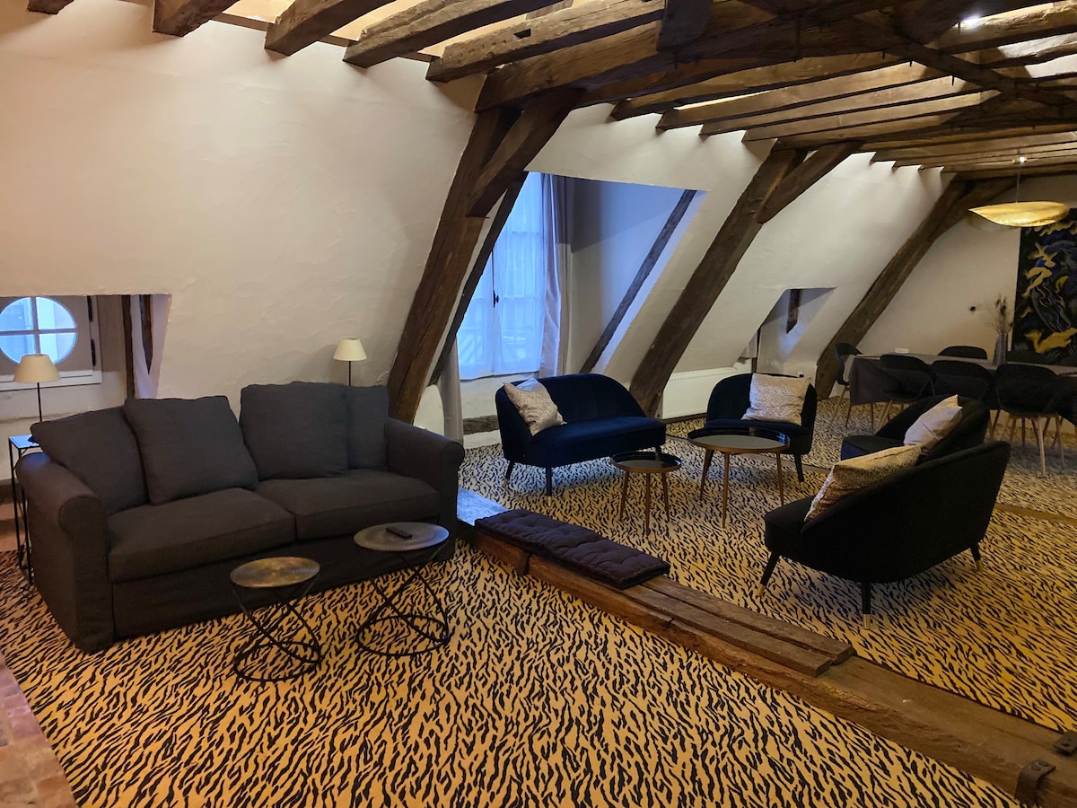 Popular Airbnb listing: Loft Private Mansion XVII City Center in Angers