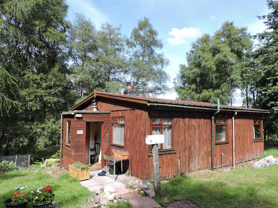 The Log Cabin in Spring