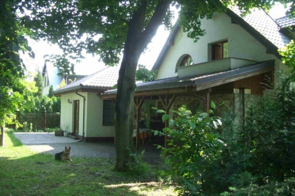house with Pluto