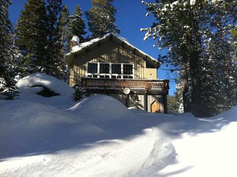Coziest Cabin in the Woods