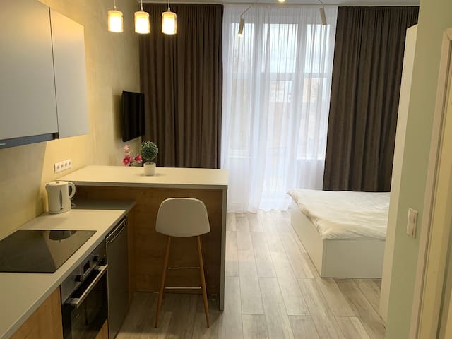 Airbnb Ady Endre Vacation Rentals Places To Stay Satu