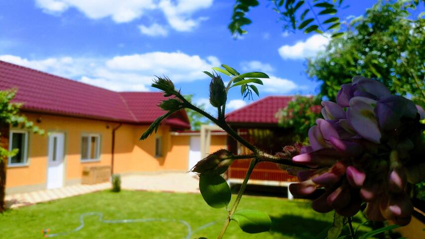 Airbnb Corbu Vacation Rentals Places To Stay Constanța