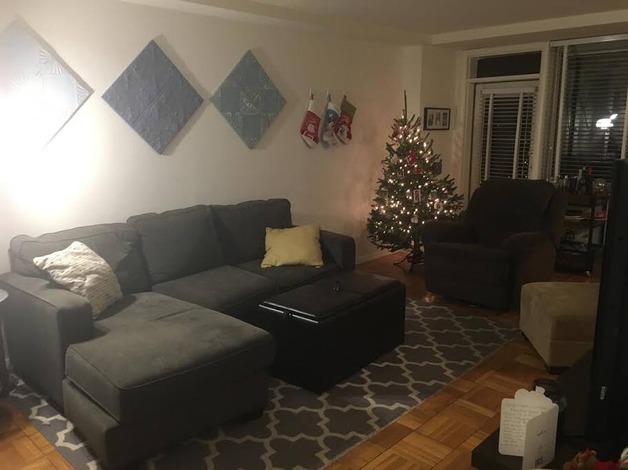 Living Room Area