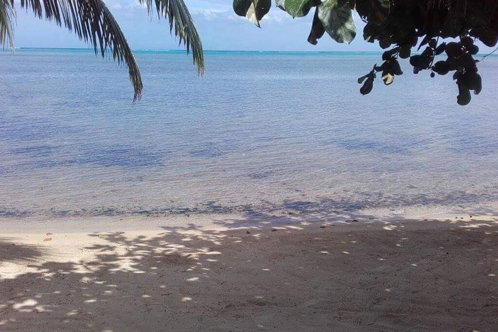 plage vue de la terrasse