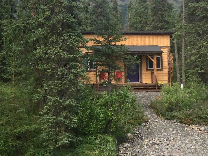 Cantwell Vacation Rentals & Homes Alaska, United States Airbnb