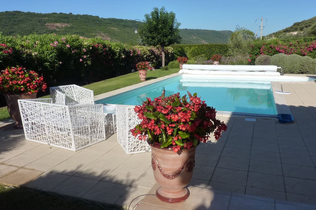La piscine, le jardin