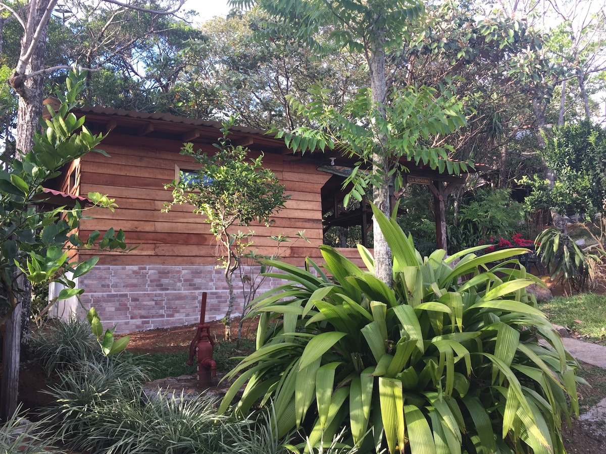The exterior of a wooden cabin is surrounded by lush greenery and vibrant plants. Various trees provide shade, while a decorative water pump is visible in the foreground. The cabin features a blend of wooden and brick elements, set against a tranquil natural backdrop.