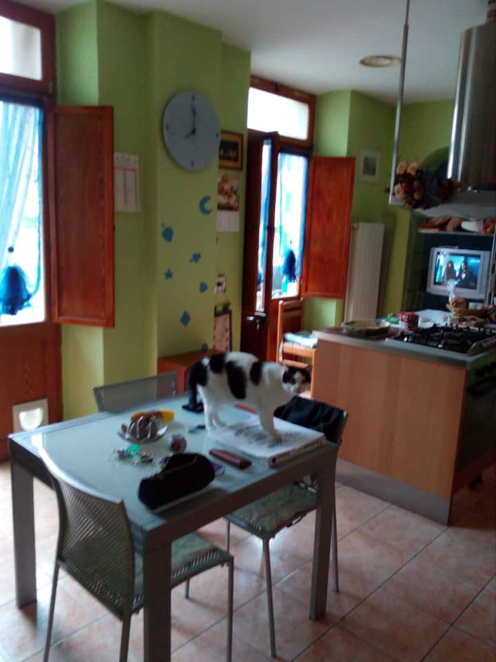 Turin Castle Rentals Castles and More Airbnb