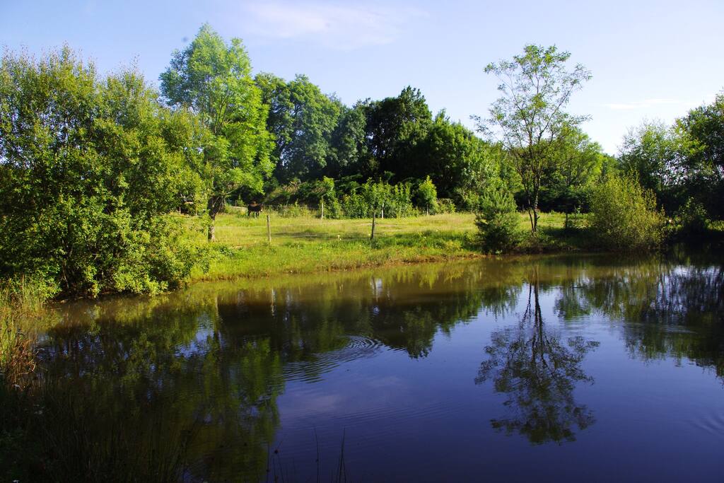 Plan d'eau