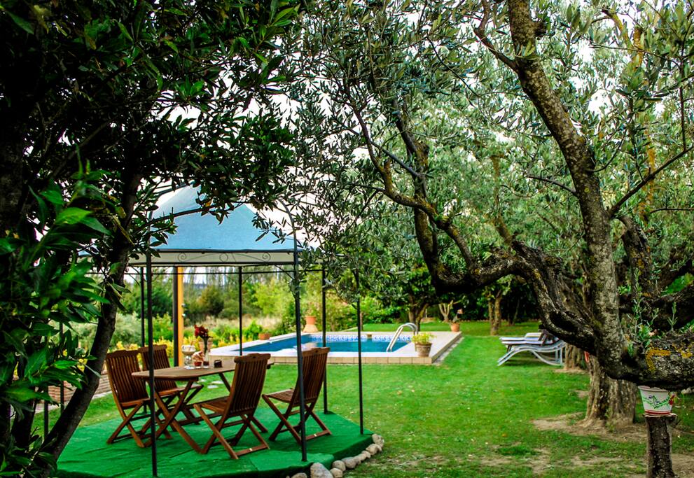 Exterior: Piscina y jardines de Villa Cristina