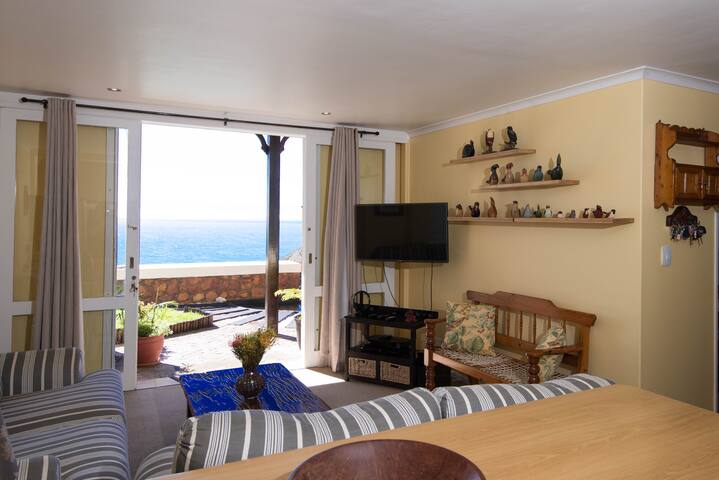 Neptune Apartment – A Whale of A Time gallery image 3