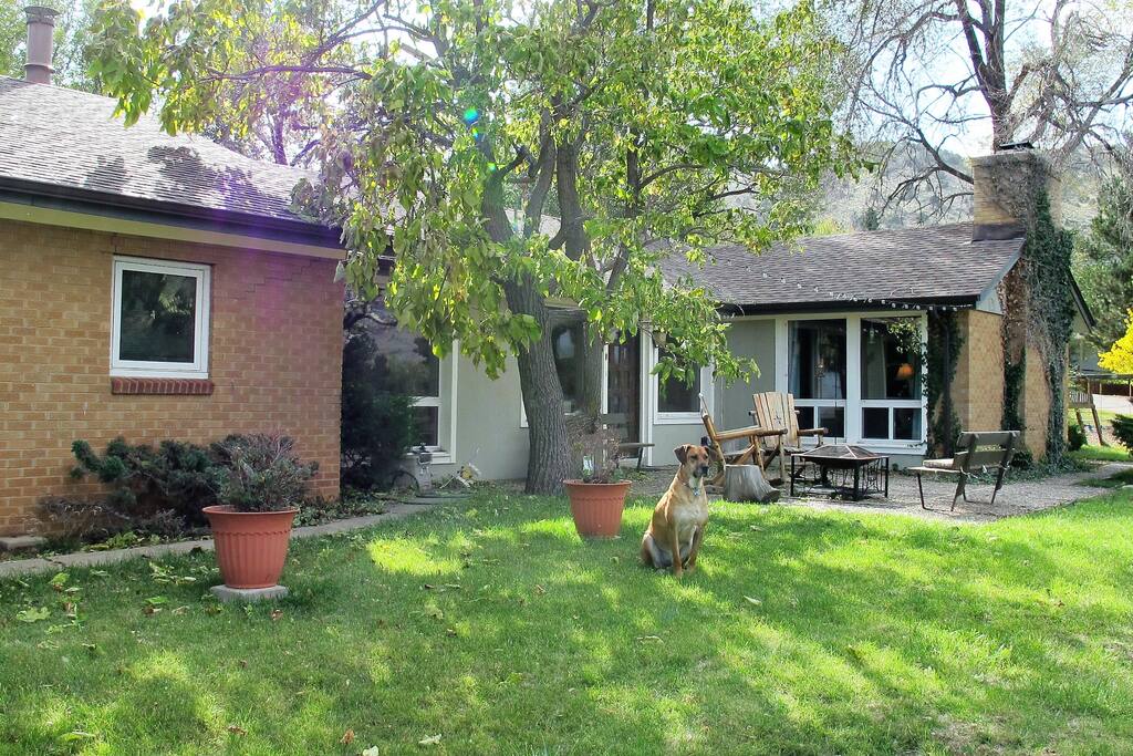 Front Yard connected to circle drive