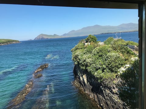 Bird Nest on the sea- Dingle Peninsula