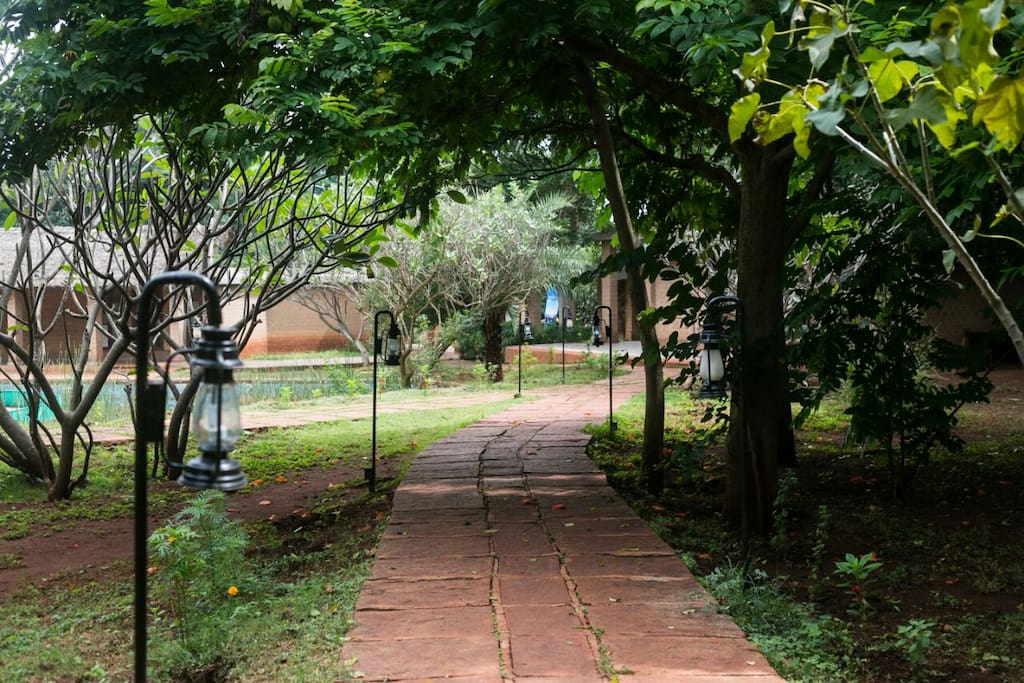 Garden pathways