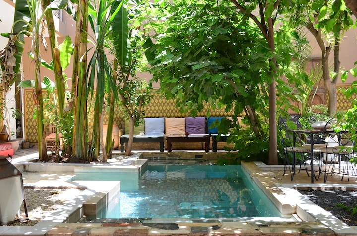 SoCheapSoChic with pool