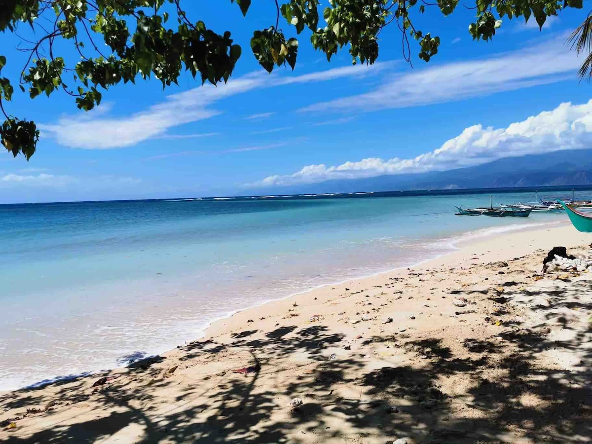 A serene beach scene is depicted, featuring soft sand meeting calm, turquoise waters. Clear blue skies extend above, with gentle waves lapping at the shore. Shadows from overhanging trees create a calming contrast against the shoreline, providing a sense of tranquility.