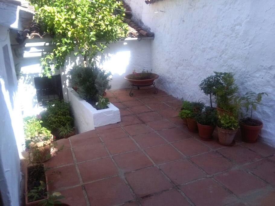 Patio interior