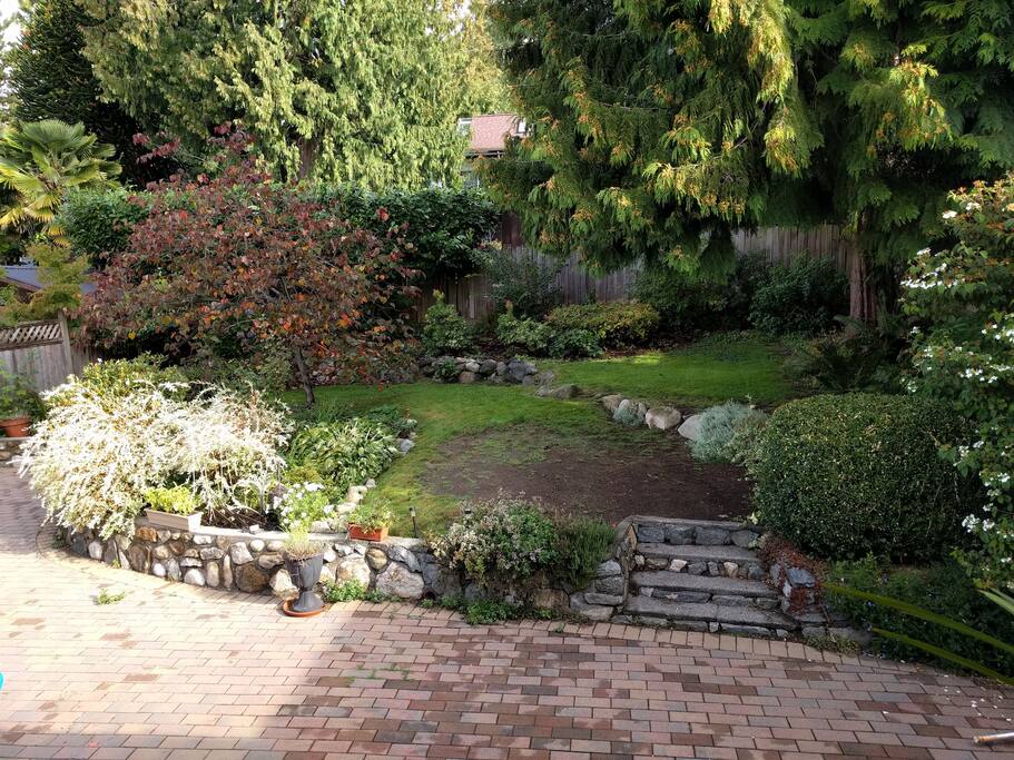 Back garden in the summer.