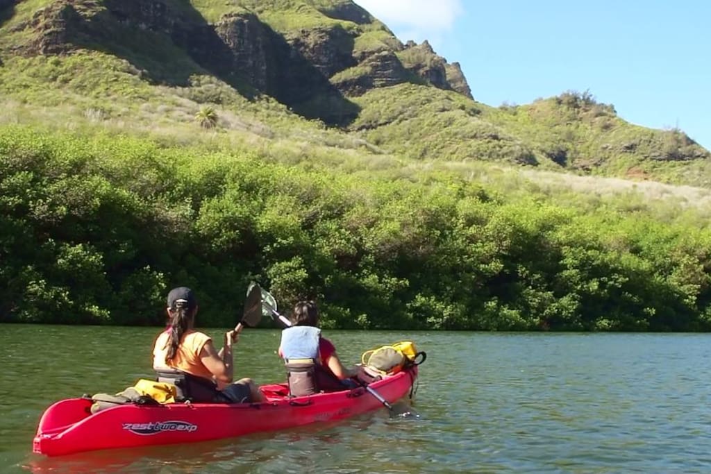 Kayaking as a group is a wonderful way to explore the island.