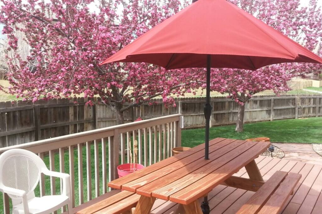 Deck with Picnic Table
