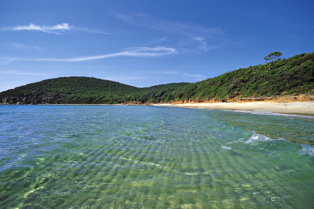 Cala violina