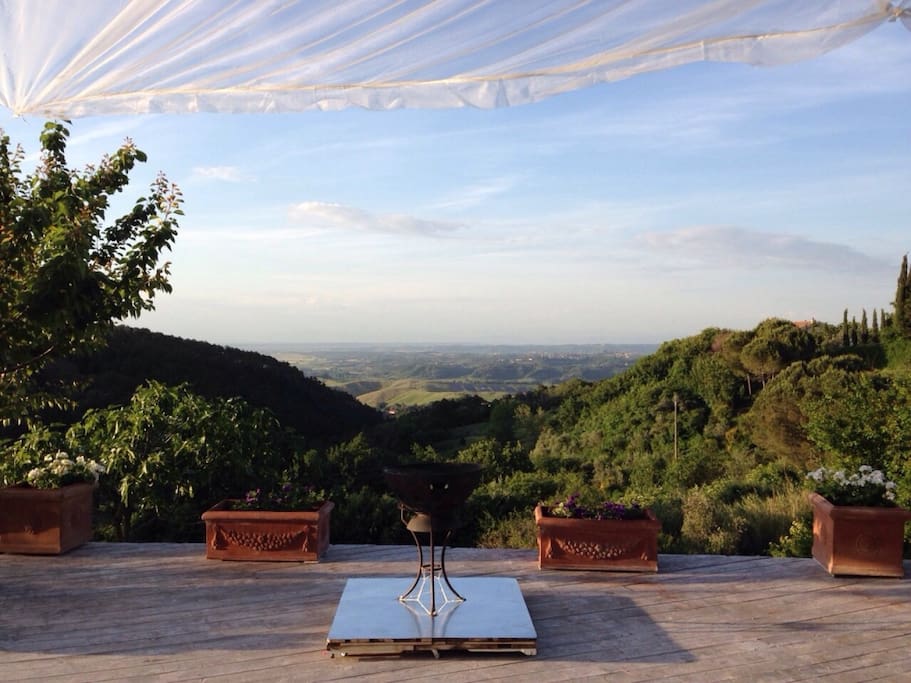 The view