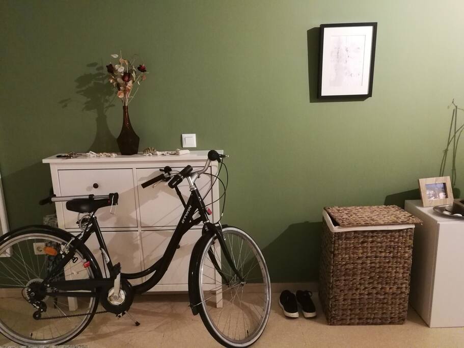 El recibidor! Visitar la ciudad en bici es estupendo!