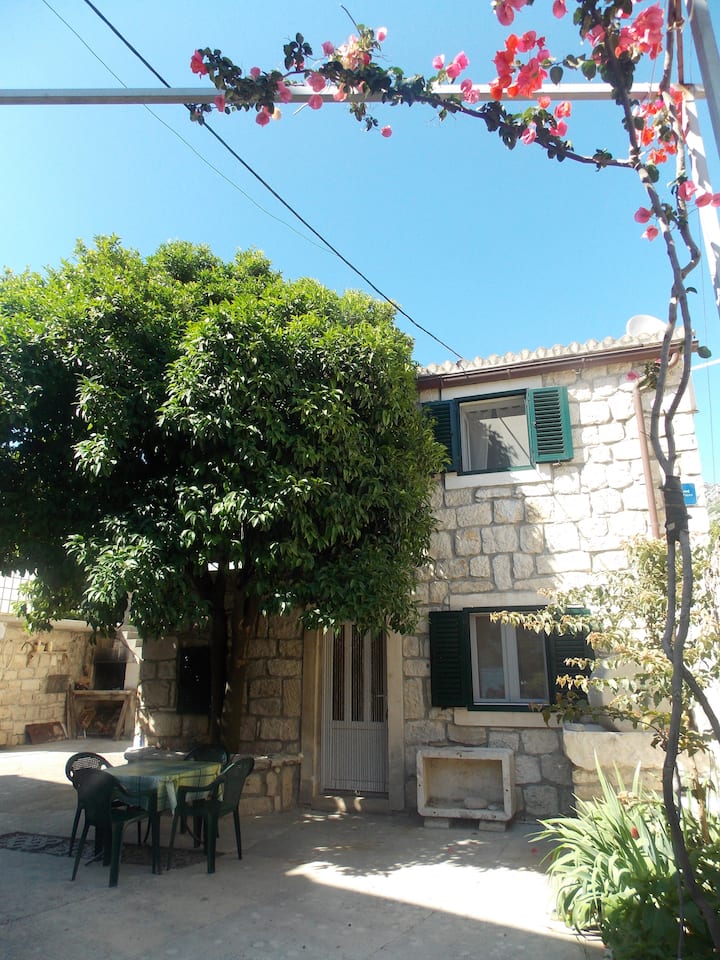 Apartman Vanda 1 (ground floor)
