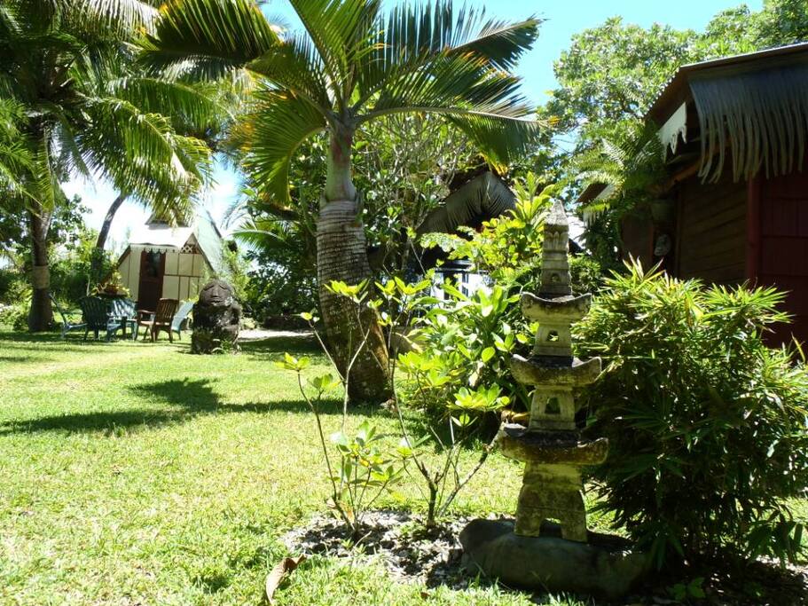 Le jardin/ Garden