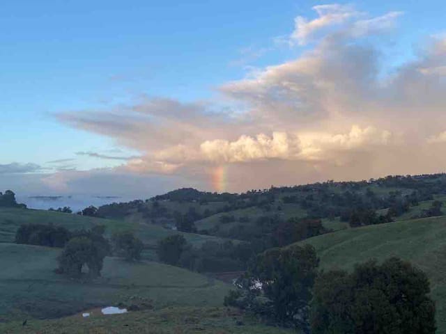 Avon Valley Homestead-Farm Stay gallery image 3